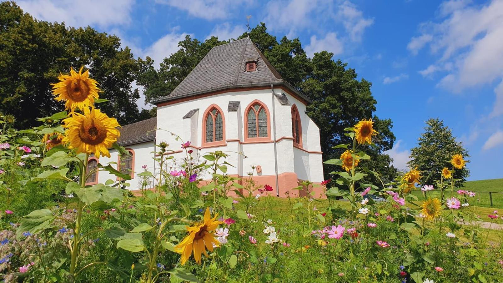Ferienhaus Deine Zeit Mit Sauna Und Wallbox Nettersheim Luaran gambar